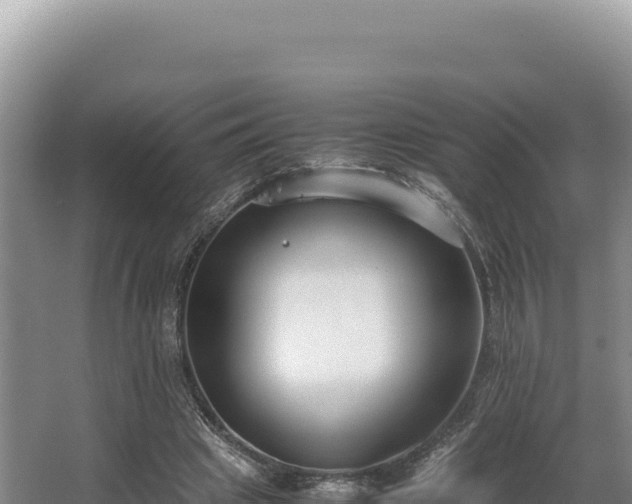 X0000062850441200601171515