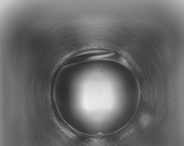 X0000062850442200601171515