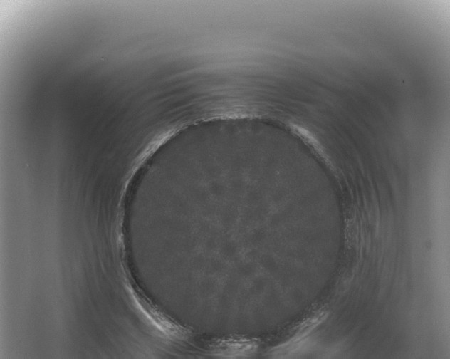 X0000062850443200601171515