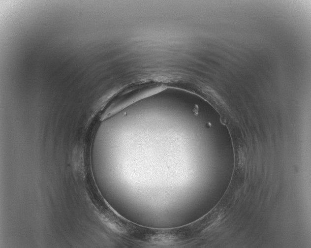 X0000062850444200601171515