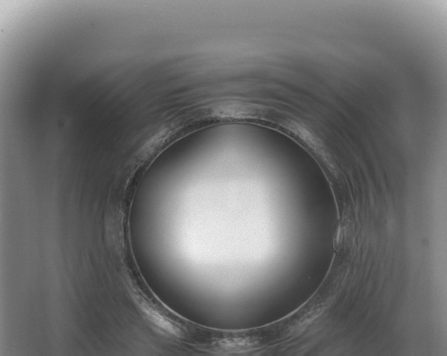 X0000062850445200601171515