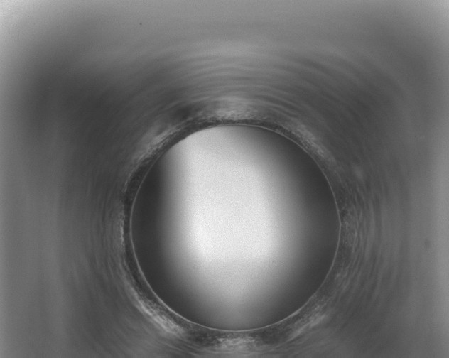 X0000062850446200601171515