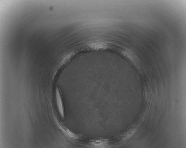 X0000062850447200601171515