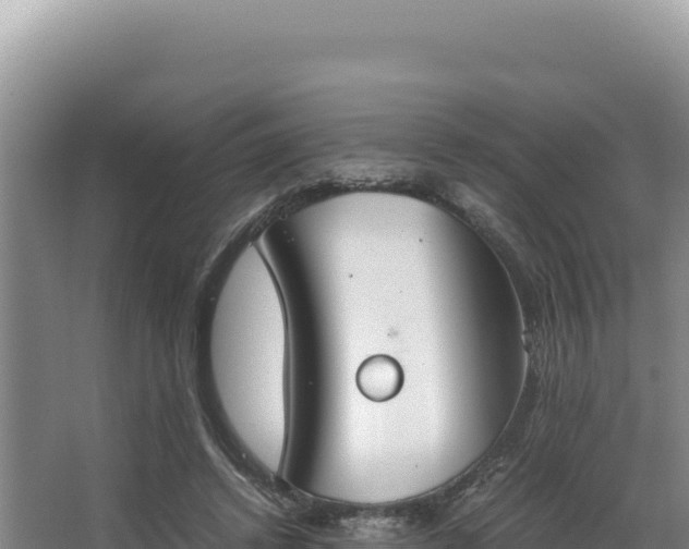 X0000062850448200601171515