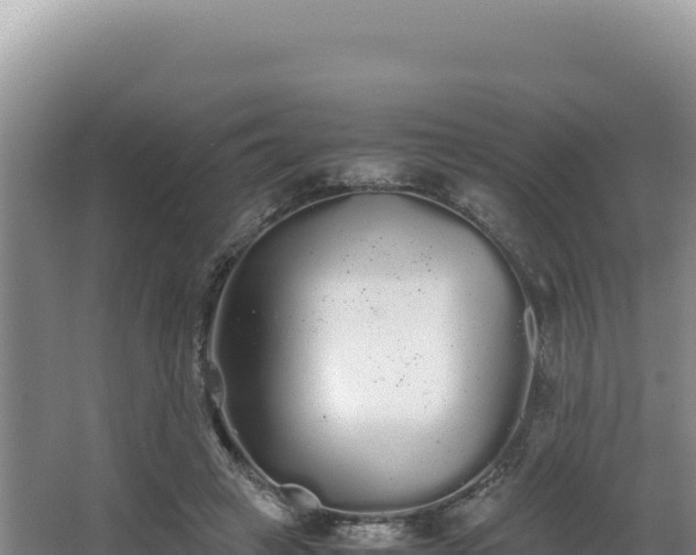 X0000062850449200601171515