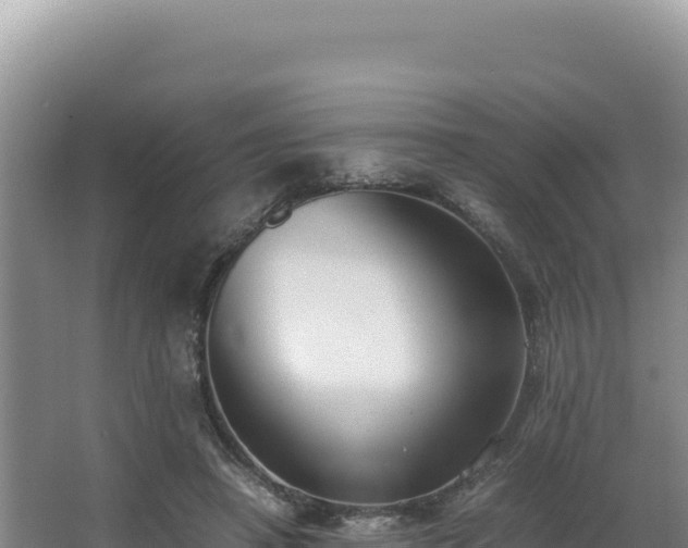 X0000062850450200601171515