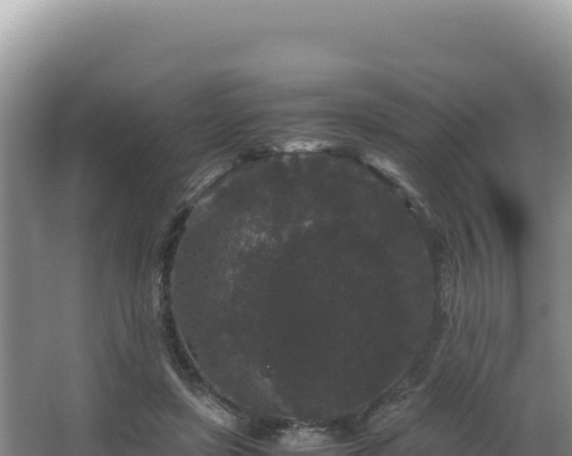 X0000062850451200601171515