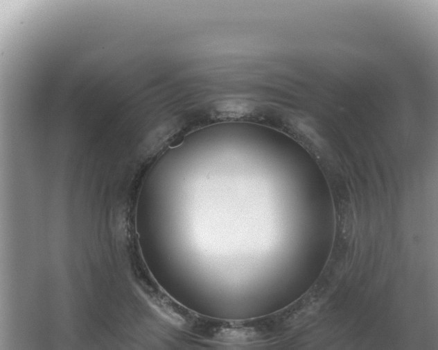 X0000062850455200601171515