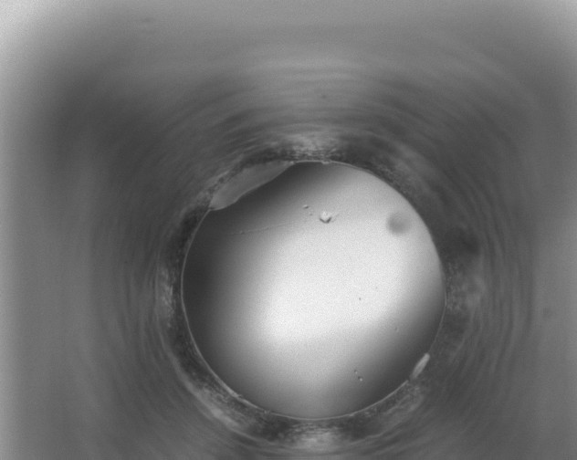 X0000062850456200601171515