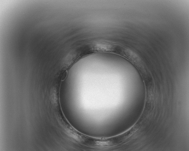 X0000062850457200601171515