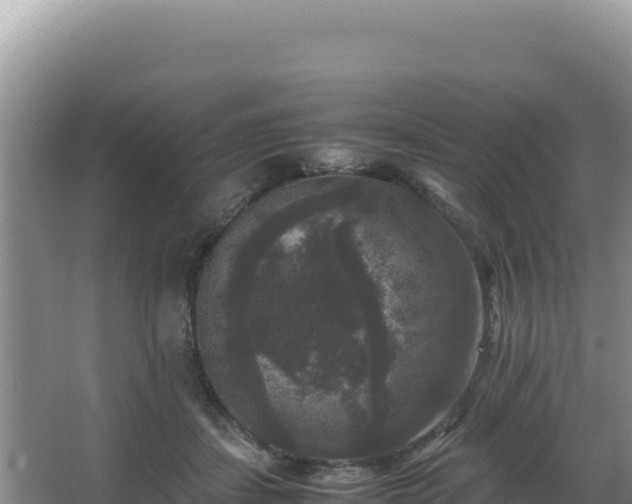 X0000062850459200601171515