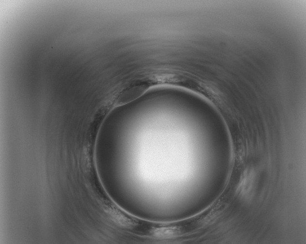 X0000062850461200601171515