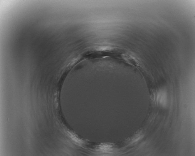 X0000062850462200601171516