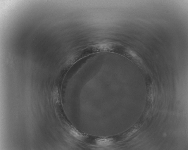 X0000062850465200601171516