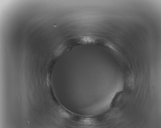 X0000062850467200601171516