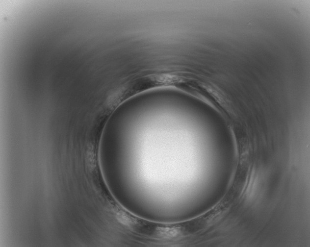 X0000062850469200601171516