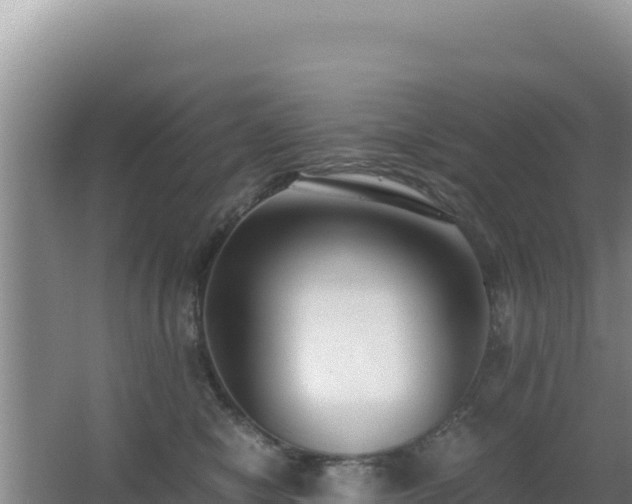 X0000062850470200601171516