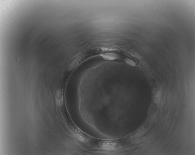 X0000062850471200601171516