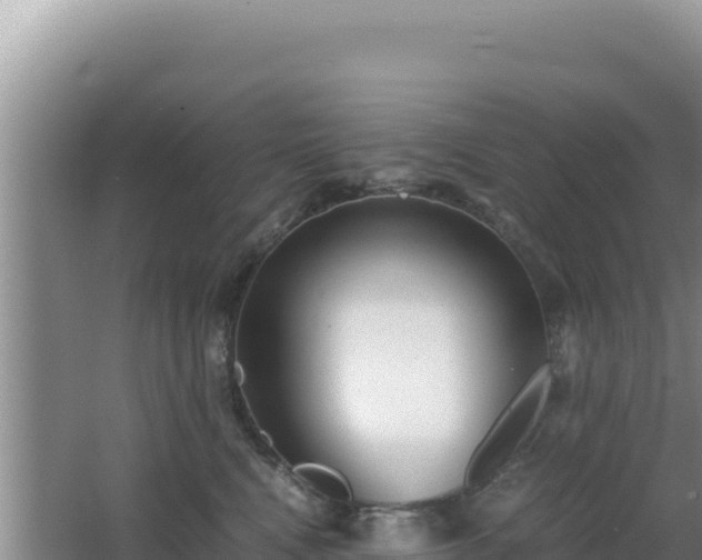 X0000062850472200601171516