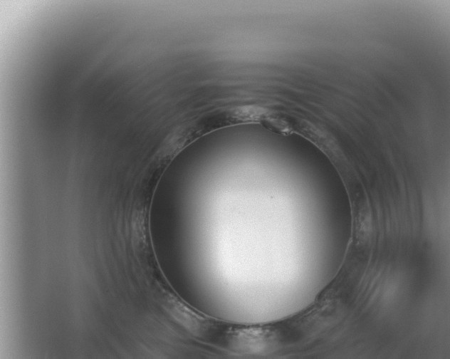 X0000062850473200601171516