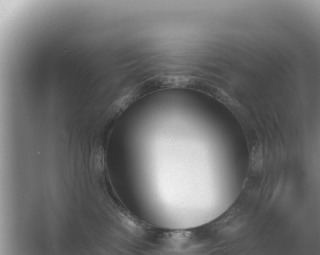 X0000062850474200601171516