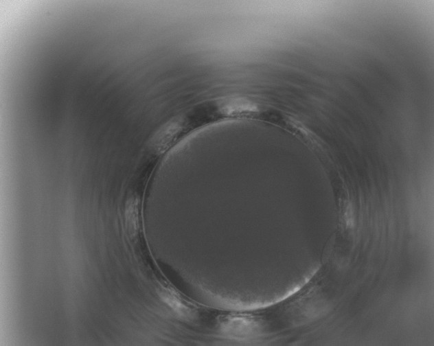 X0000062850475200601171516