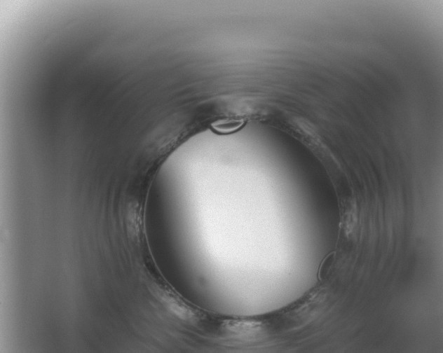 X0000062850476200601171516