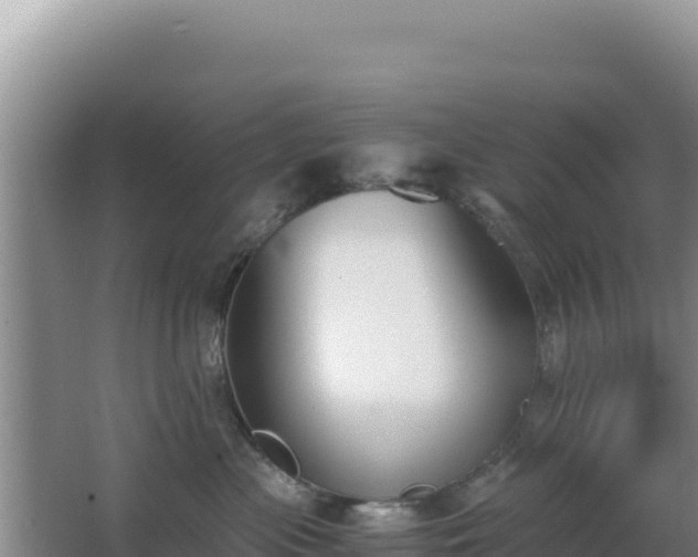 X0000062850477200601171516