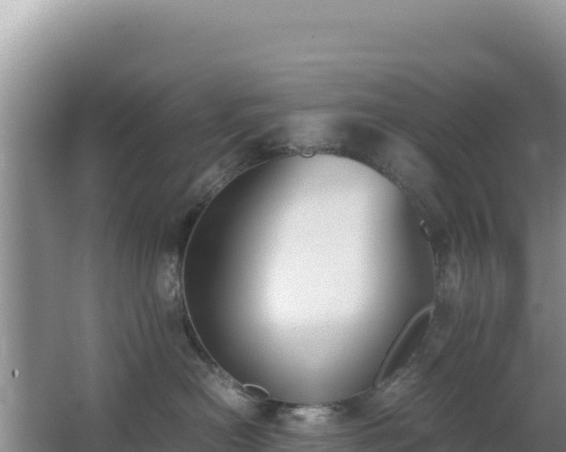 X0000062850478200601171516