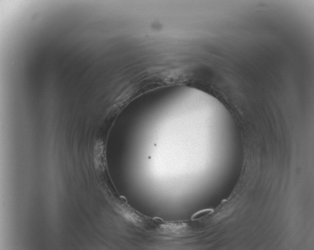 X0000062850480200601171516