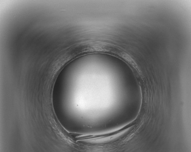 X0000062850481200601171515