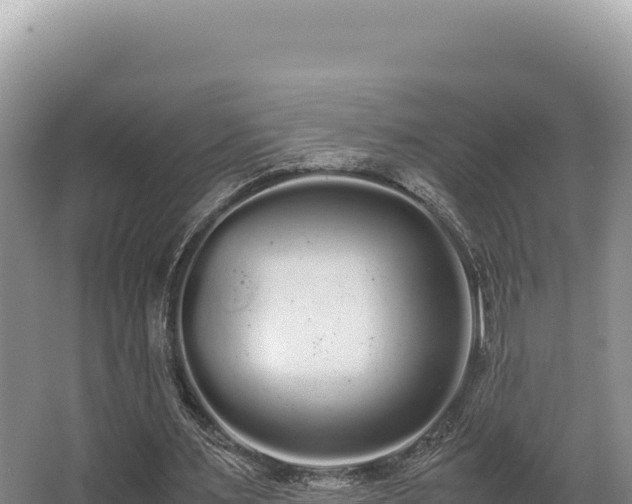 X0000062850483200601171515