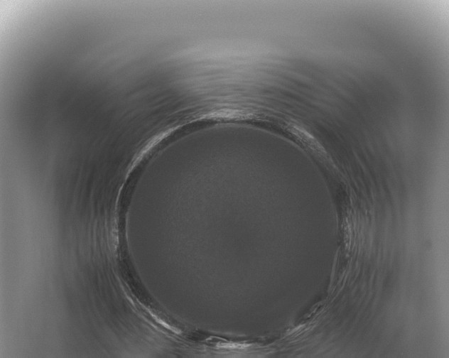 X0000062850484200601171515