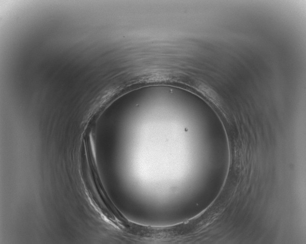 X0000062850485200601171515