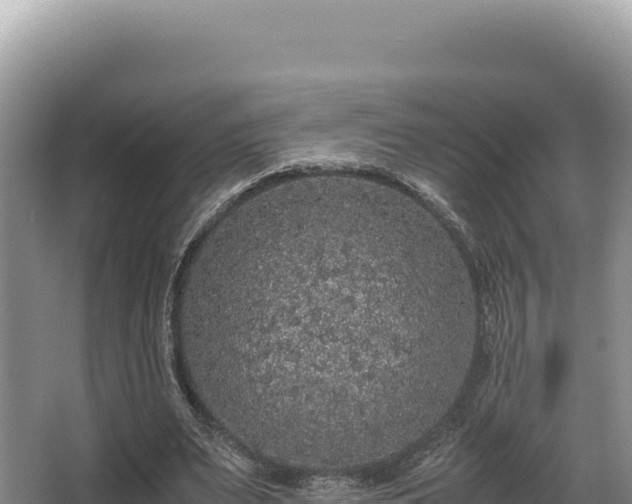 X0000062850487200601171515