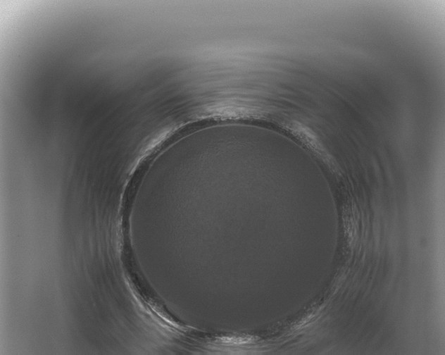 X0000062850488200601171515