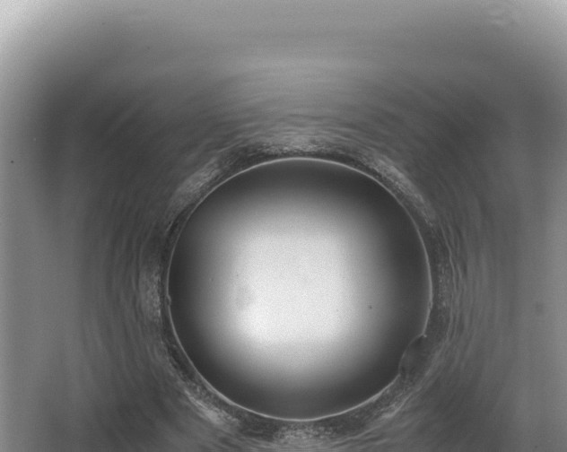 X0000062850489200601171515