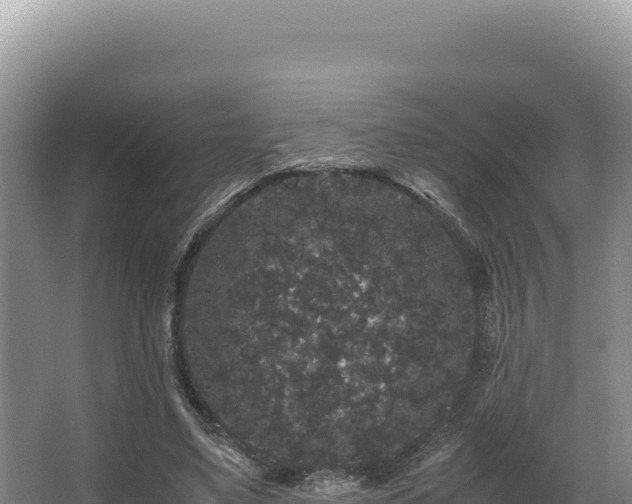 X0000062850491200601171515