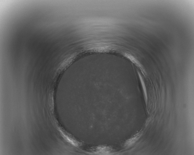 X0000062850493200601171515