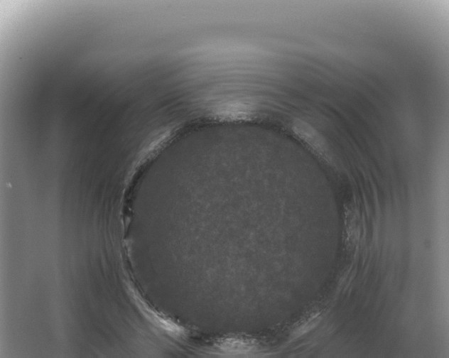 X0000062850494200601171515