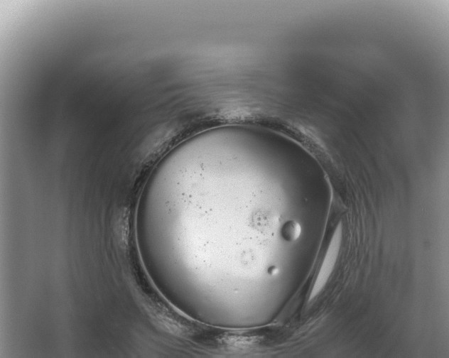 X0000062850495200601171515