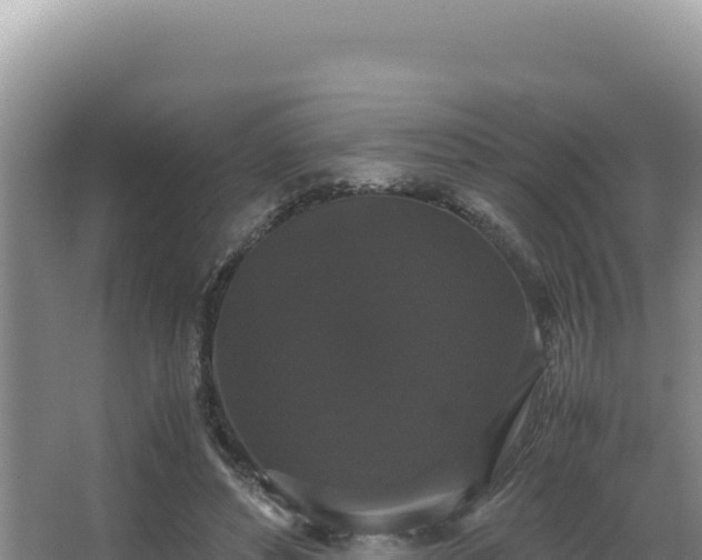 X0000062850496200601171515