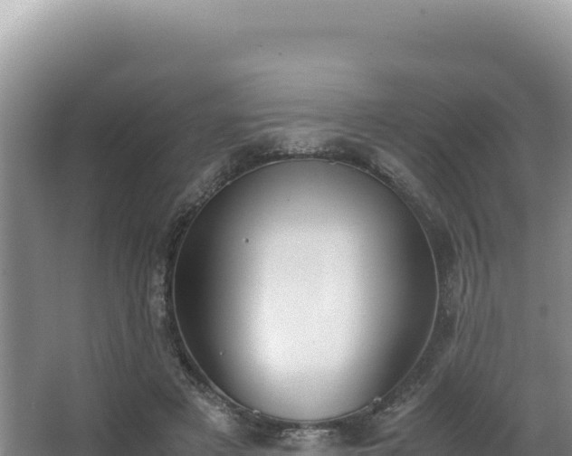 X0000062850497200601171515