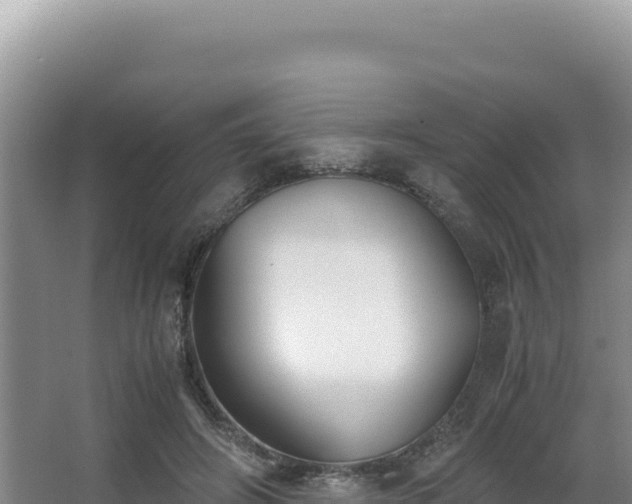 X0000062850498200601171515