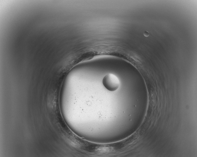 X0000062850499200601171515