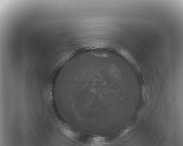 X0000062850501200601171515