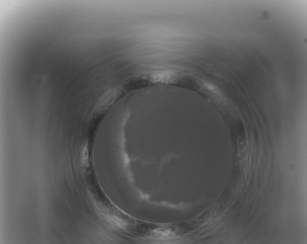 X0000062850502200601171515