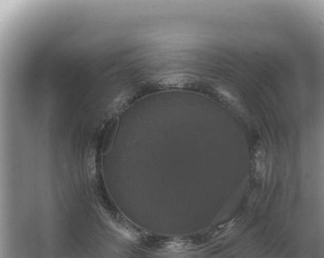 X0000062850504200601171515