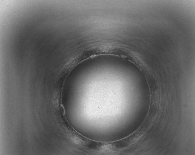 X0000062850505200601171515