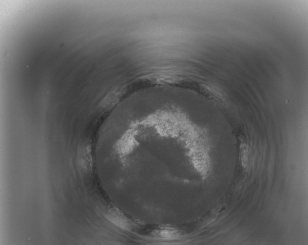 X0000062850506200601171515